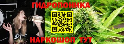 сатива Аргун