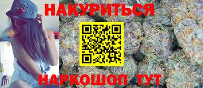 сатива Аргун